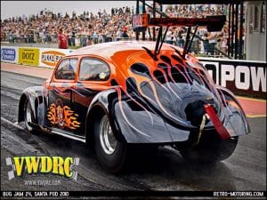 Orange Flame Beetle V8