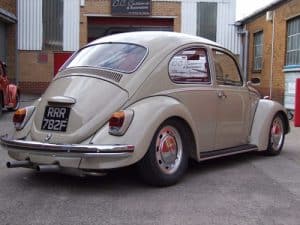 Savannah Beige Beetle