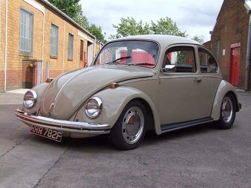 Savannah Beige Beetle